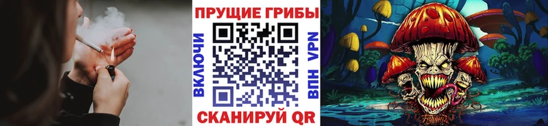 Псилоцибиновые грибы ЛСД  Купить закладки  Асино 